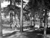 Children playing at Silver Lake Recreation Area - Apalachicola National Forest, Florida.