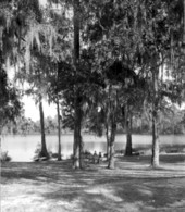 Picnicking on the lake - Leon County, Florida .