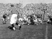 Florida State University versus University of Florida in Florida Field - Gainesville, Florida.