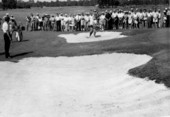Golfers on the golf course - Bradenton, Florida