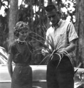 Helen Crosson and Stanley Wallace look at a air plant - Sebring, Florida .