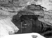 View of Ocala Caverns - Ocala, Florida.