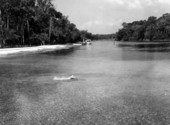Man enjoying a spring - Lake County, Florida