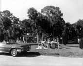 Family enjoys a picnic at a wayside park - Hernando County, Florida