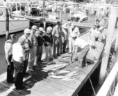Onlookers stare at several freshly caught kingfish - Riviera Beach, Florida.