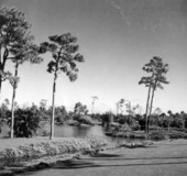 Caribbean Gardens - Naples, Florida