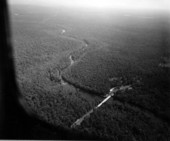 Aerial view of the Wakulla River