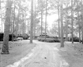 Oaklawn Plantation - Tallahassee, Florida.