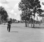 Golfers on the golf course - Fort Myers, Florida