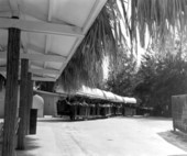 Weeki Wachee Springs train ride to Indian Village.