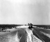 Families entering Lake Eustis - Oklawaha River, Florida