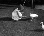 Diane Hillenbrand feeds exotic birds at Sarasota Jungle Gardens - Sarasota, Florida.