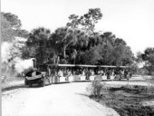 View of Floridaland's tour train - Osprey, Florida
