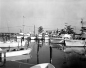 Islamorada marina