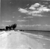 Florida beach scene.