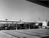 View of the shuffleboard courts - Clearwater, Florida