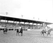 Riders and horses perform at the rodeo - Kissimmee, Florida .
