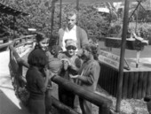 Children enjoying antics of chimpanzee at Monkey Jungle - Miami, Florida.