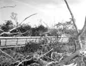 Man-made nature trail