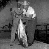 Two fishermen pose with their catch of a Greater Amberjack (Seriola dumerili).