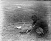 Hunter Bill Phelps with his trapped Peregrine falcon, game-bird and net.