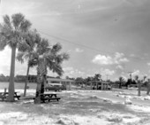 Picnic area in Tarpon Springs