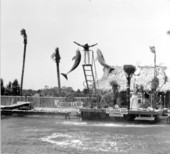 Floridaland's dolphin show attraction - Osprey, Florida