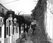 Shopping in Palm Beach