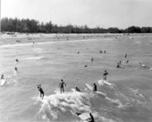 Surfers at Dania beach