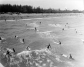 Surfers at Dania beach