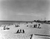 Dania beach scene