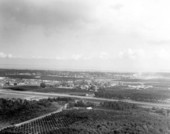 Aerial view looking north with Lake Apopka in background - Winter Garden, Florida.