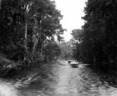 Boating on the Oklawaha Riverhpicture