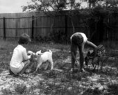 Little girls feeding kid and fawn with bottles- Panama City, Florida