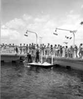 Tourists enjoying a dolphin show at Gulfarium - Fort Walton Beach, Florida