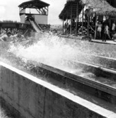 People on a log flume ride at Pirates World - Dania, Florida