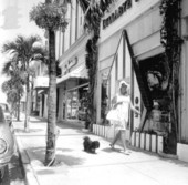 Woman shopping on Worth Avenue while walking her dog - Palm Beach, Florida.