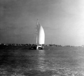 Catamaran boat in Key West