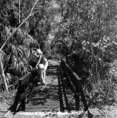Visitors on footbridge at the Koreshan State Historic Site - Estero, Florida.
