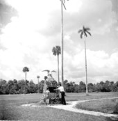 Father and son at the Collier-Seminole State Park viewing memorial - Collier County, Florida.
