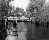 Fishing camp at Dead Lakes - Wewahitchka, Florida