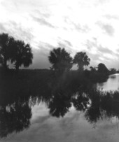 View of the Everglades