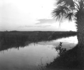 View of the Everglades - Everglades, Florida