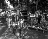 Sidewalk arts festival - Winter Park, Florida