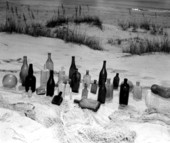 Bottles in Apalachicola