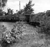 Boating at the Ocean Reef Club in Key Largo