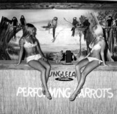 Women with parrots at Jungle Land - Panama City, Florida
