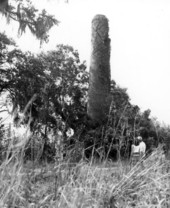 Old chimney - Pensacola, Florida.