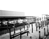 Alligator Point marina and yacht basin