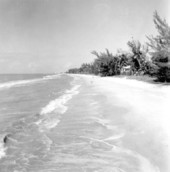 Waves rolling onto the shore